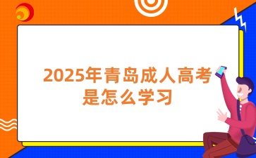 2025年青島成人高考是怎么學習?
